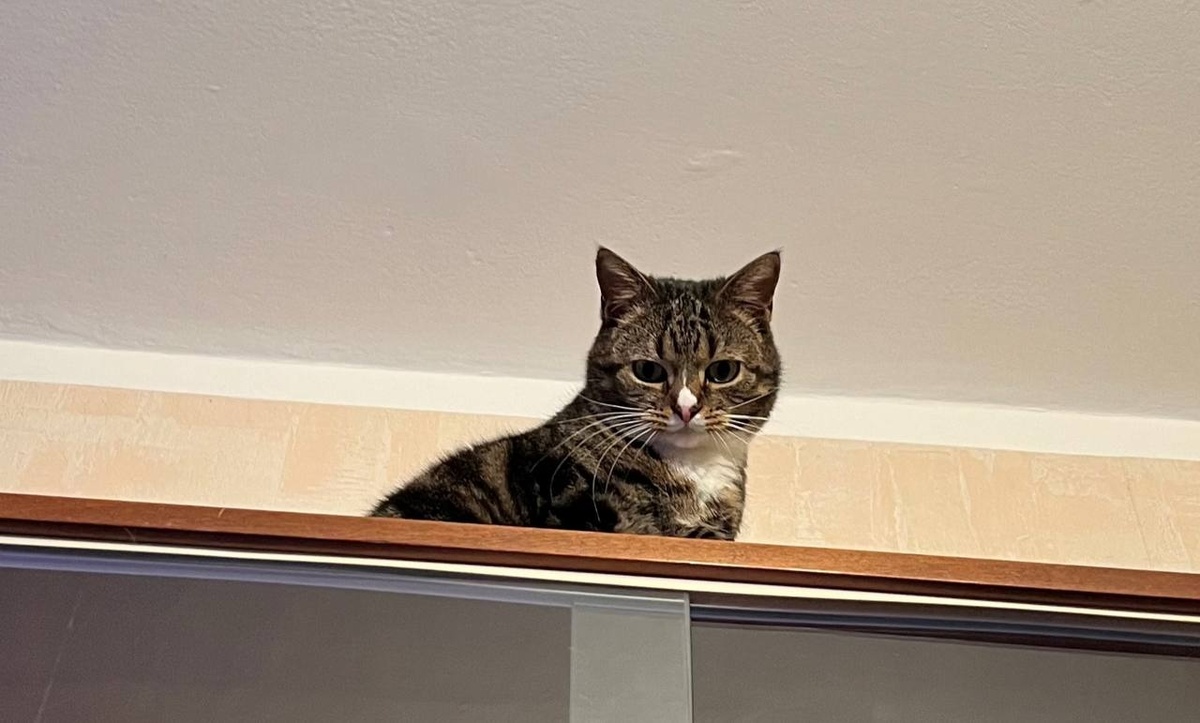 Фото: Neva.Today/Дарья Вовк