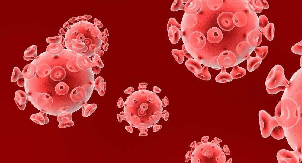 Генитальные бородавки и герпес: что важно знать помимо медицины