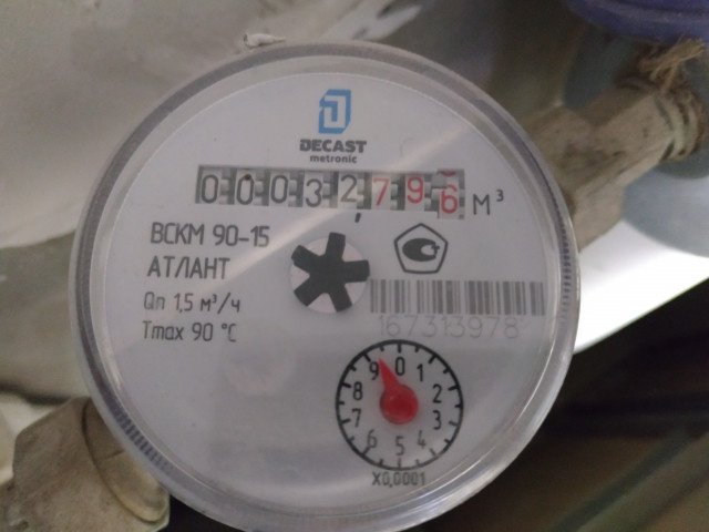    Фото: Елена Костюченкова