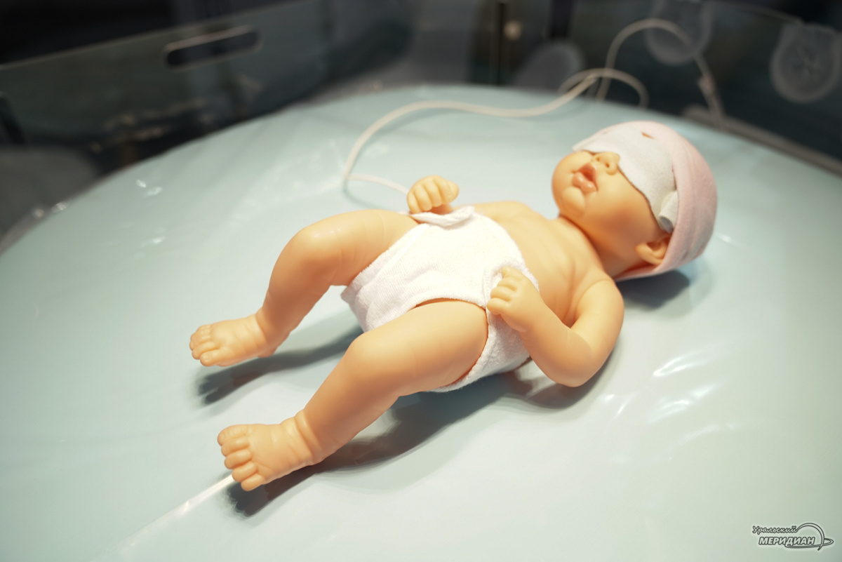    Фото: Лидия Аникина © ИА «Уральский меридиан»