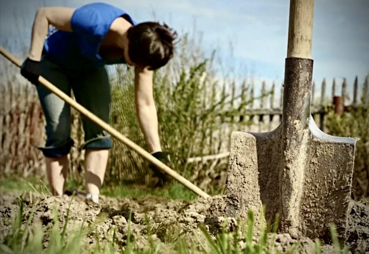 Как оказывается, нужники копать не только полезно для здоровья, но и экономически выгодно