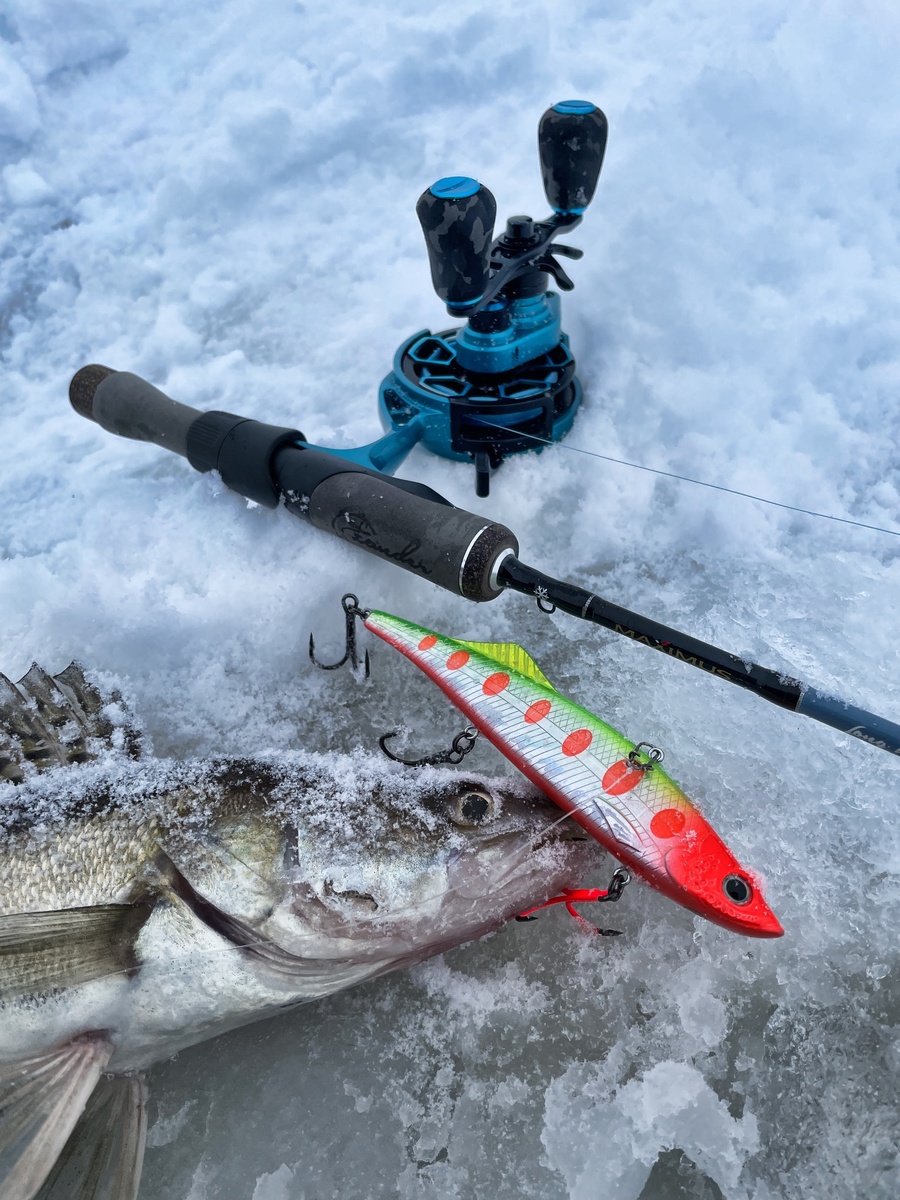 Раттлин Куда от ECOPRO