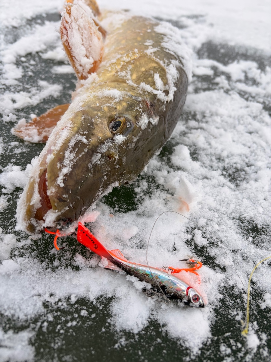 балансир Хамса от ECOPRO