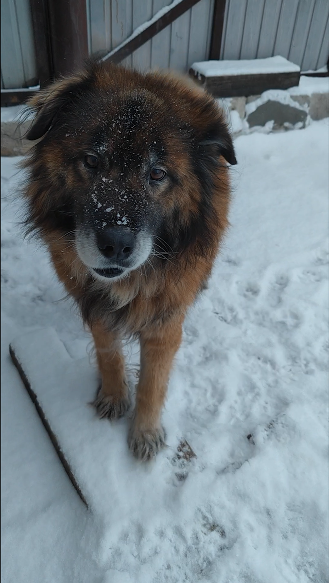 На улице почти минус 40