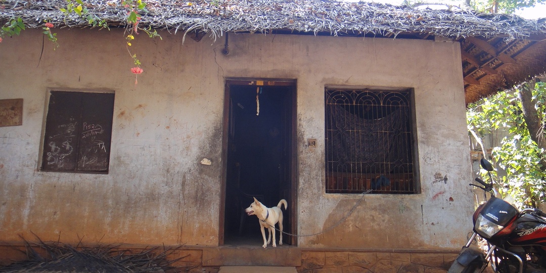 Индия. Вокруг общества