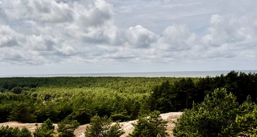    Первый городской канал Калининград