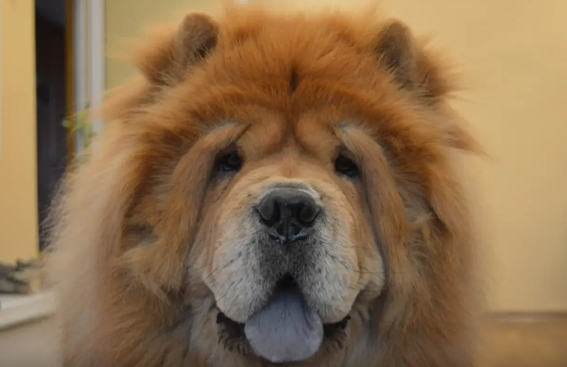 Фото: pxhere.com.