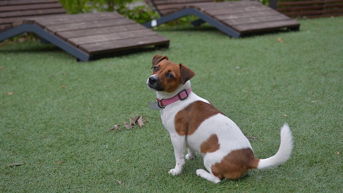    Фото: Анна Малакмадзе / Вечерняя Москва