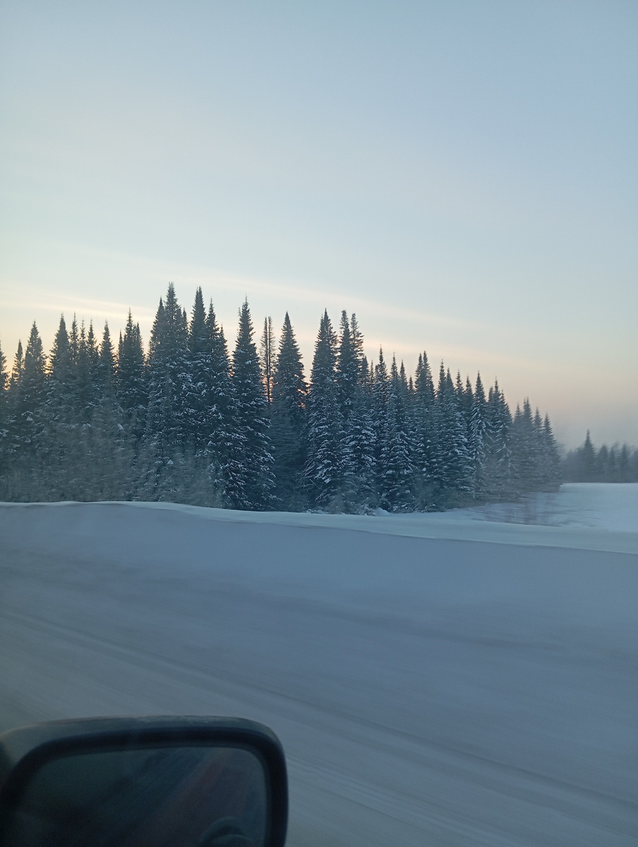 Ёлки кажутся игрушечными. 