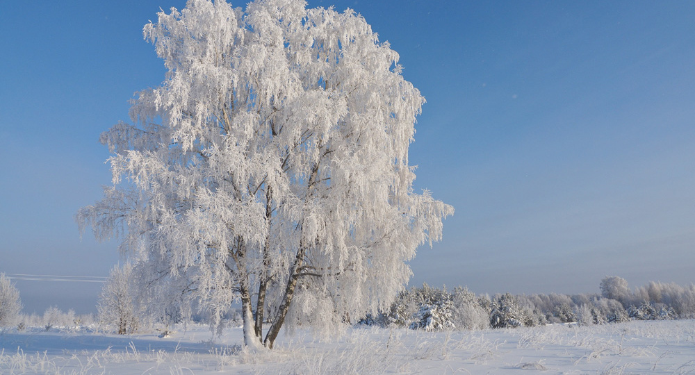 Как ездил в Ломы фотографировать усадьбу фабриканта Новикова