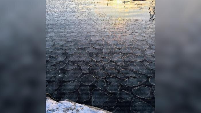 В Одессе начало замерзать Чёрное море. Фото © Telegram / Думская/Андрей Перепелица