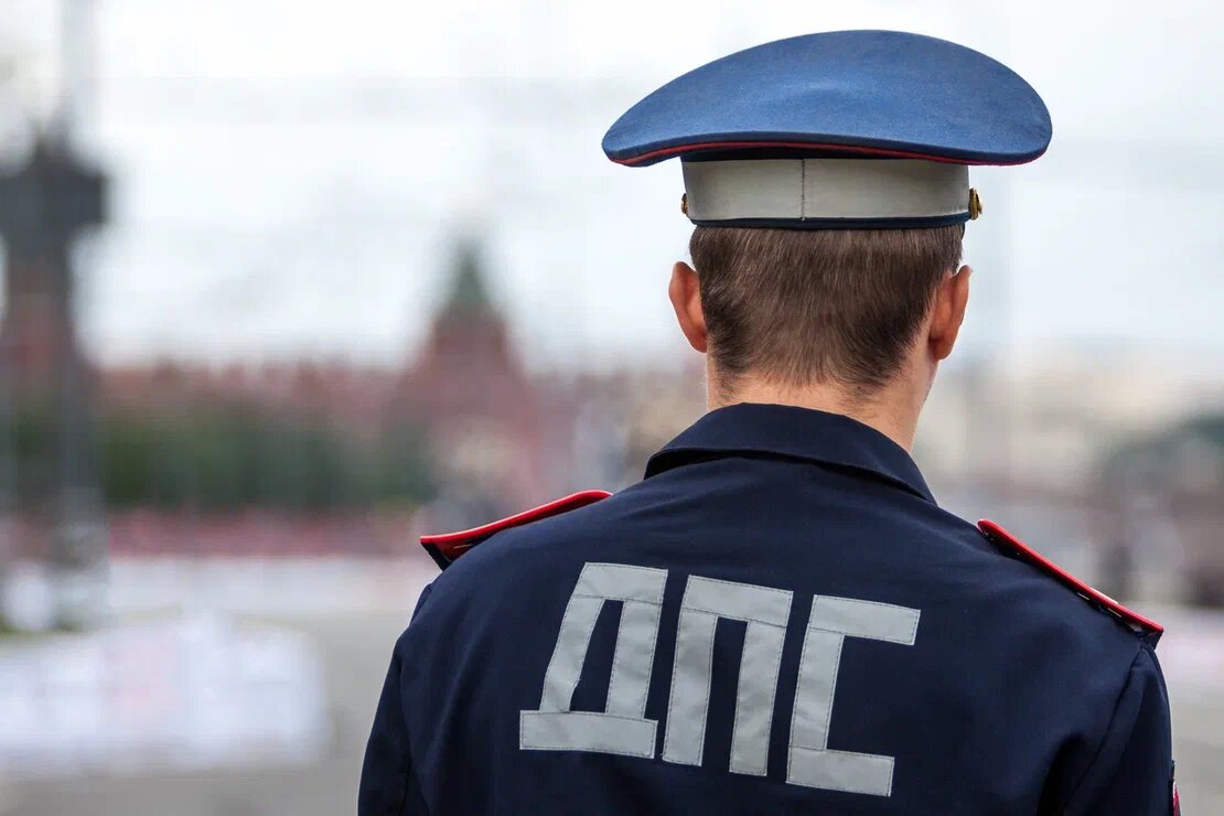    Фото: Konstantin Egorychev/shutterstock