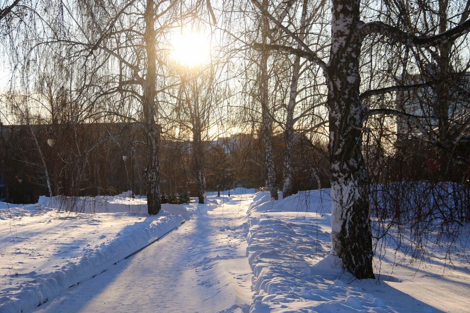   Мороз. Погода. Зима.. Источник: Виталий Барабаш