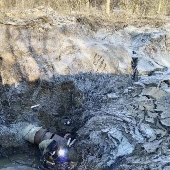 Иллюстрация: Антонина Пшеничная / tm.com