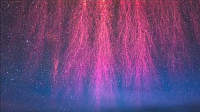 Молния принимает множество причудливых форм. На фотографии изображена так называемая спрайтовая молния