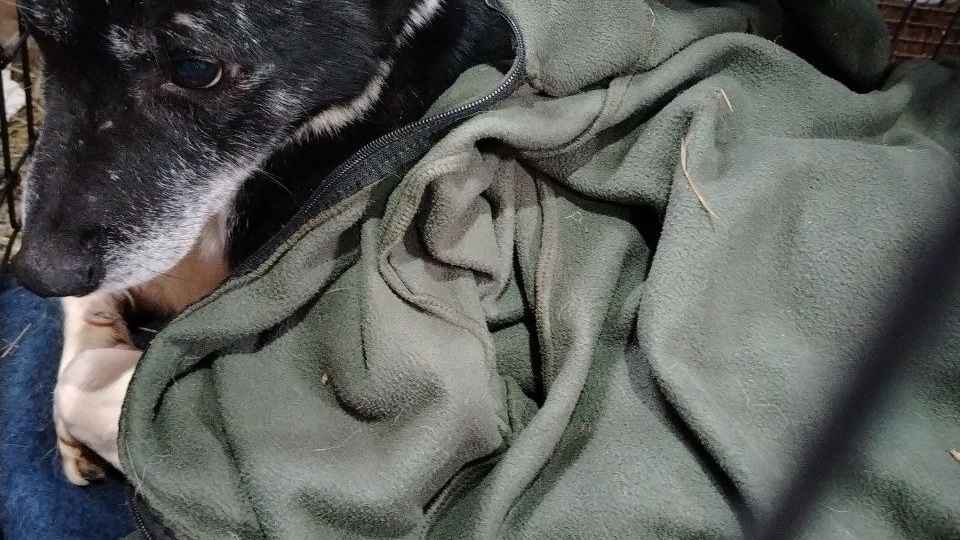 Запись к врачу на 17 часов 🙏❤️