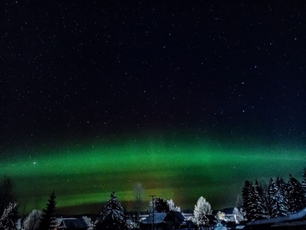    Фото: В курсе.ру Полина Анкушина
