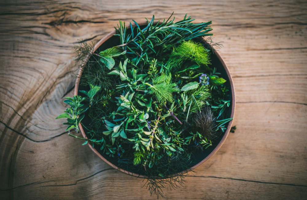 Итальянские специи и травы: как базилик, орегано и розмарин меняют вкус