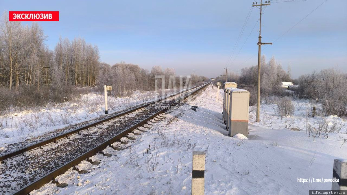 Фото: Telegram-канал «Псковская сводка. ПАИ»