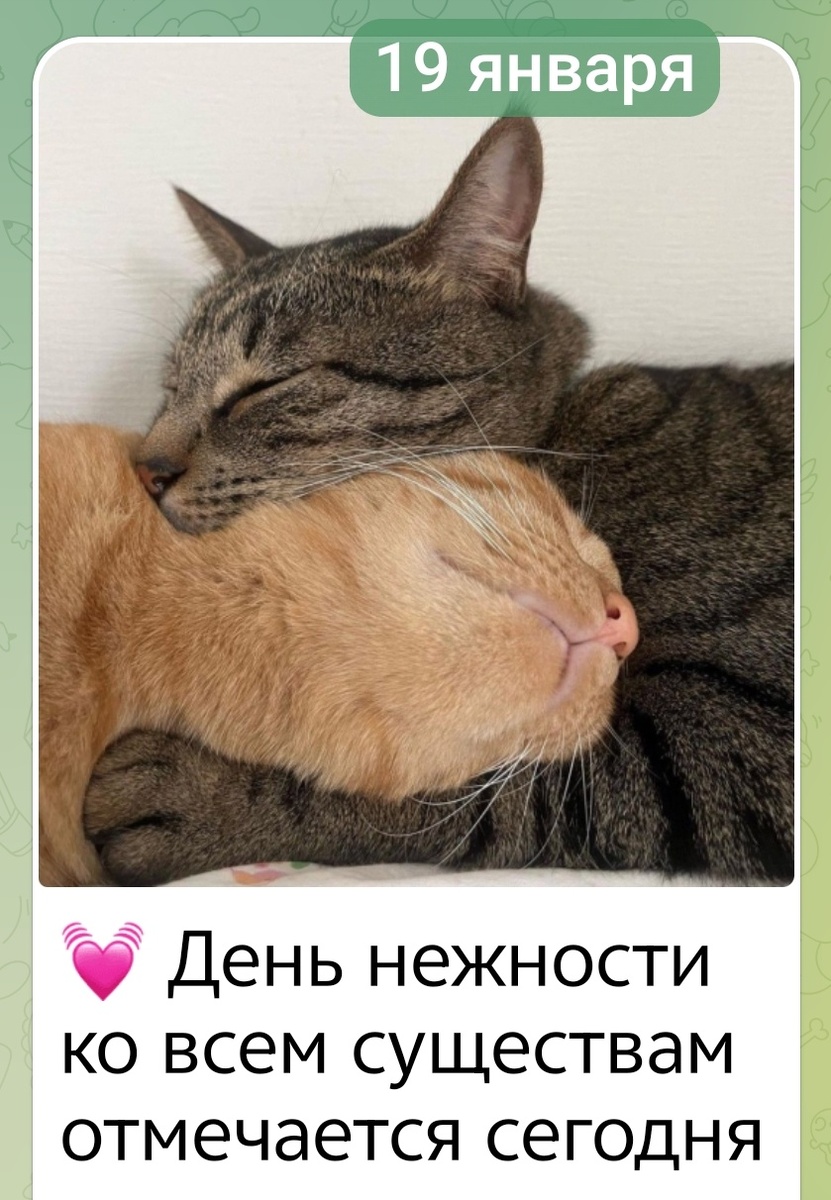 Телега подкинула