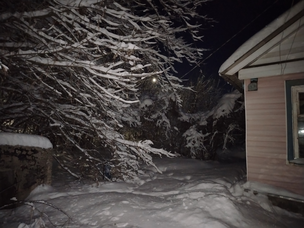 Часть участка Второго дома и его угол. Это при вспышке камеры телефона. 