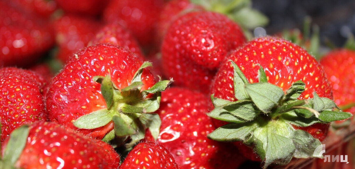    Фото: Луганский Информационный Центр