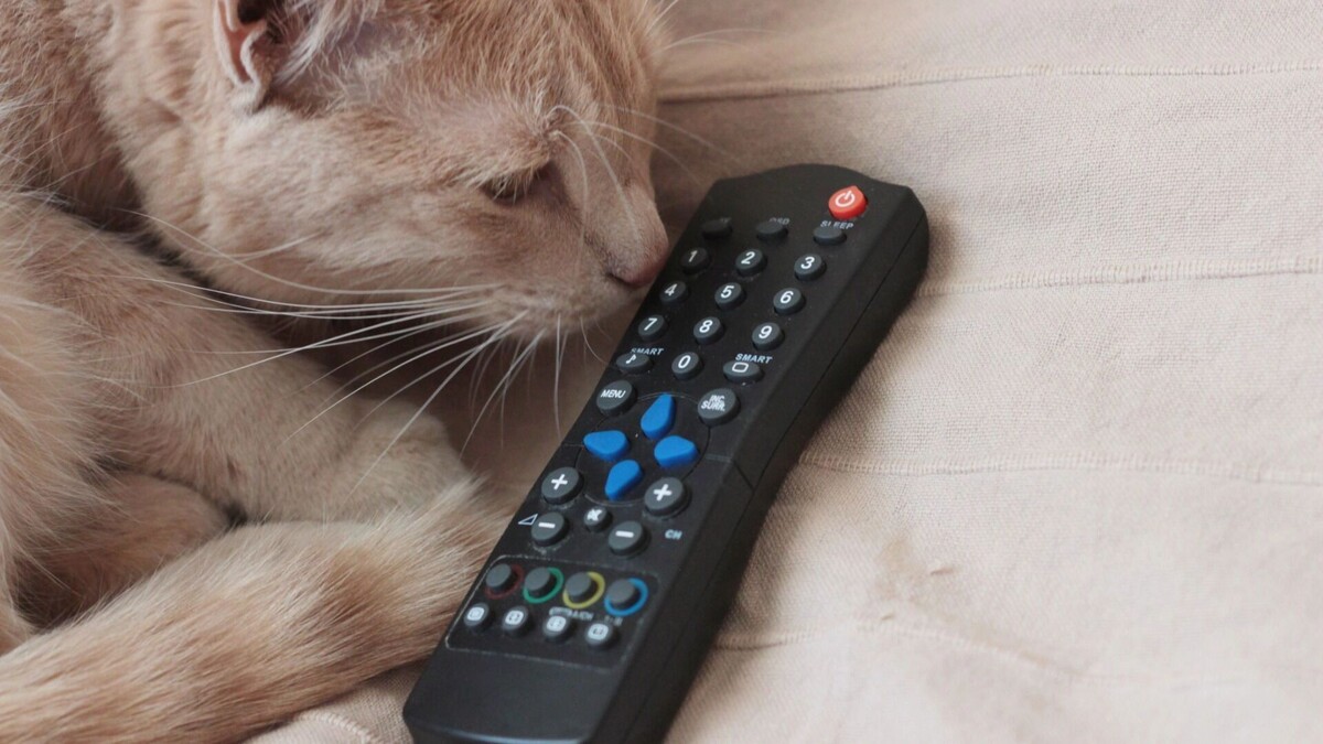    Сериалы подождут, а профилактика — нет: список городов где два дня подряд не будет теле-радиосигнала   1MI