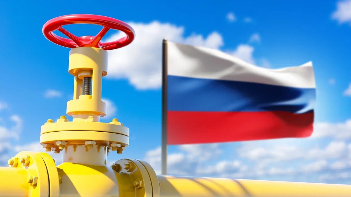    Фото: Shutterstock