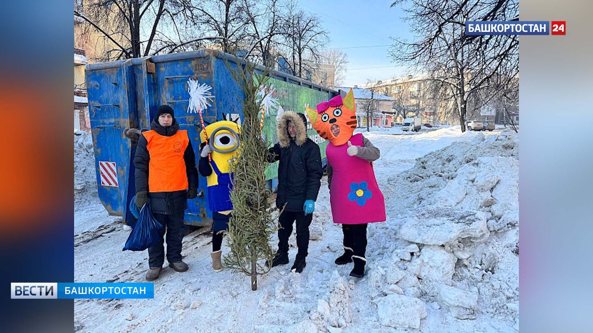    В Башкирии елки отправили на переработку