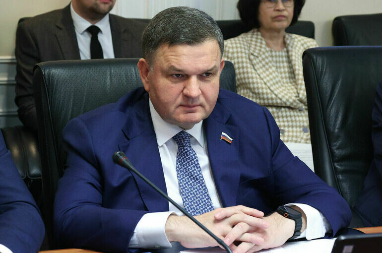   Денис Вышинский/Пресс-служба Совета Федерации