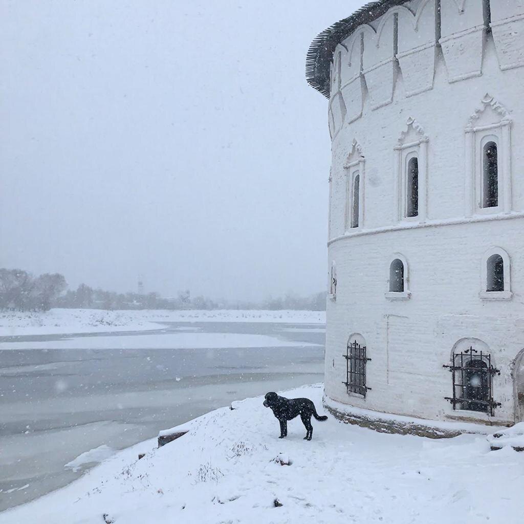 Январь 1982 года выдался студеным и снежным. 