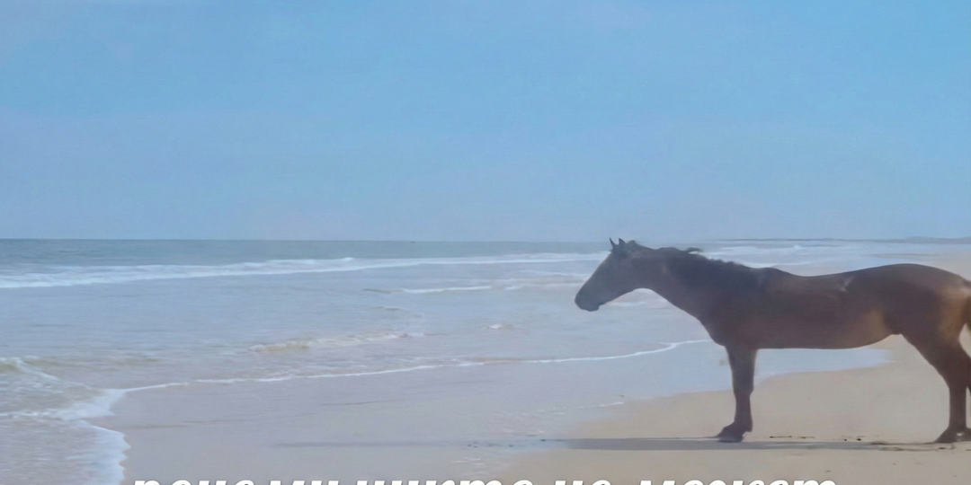 Почему ты всё равно не выполнишь свои цели в январе, и это нормально