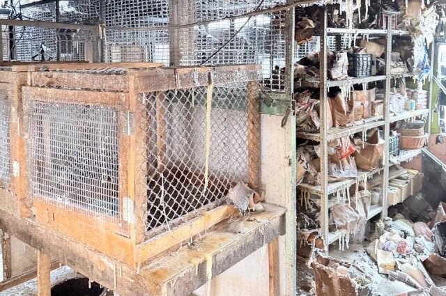    Так выглядит приют после пожара. Фото: Из личного архива/ волонтёр Вера Зубарева