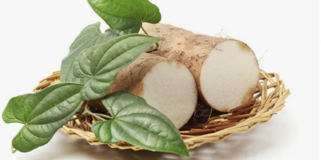 Помогает ли Дикий ямс при ПМС? Гинеколог-эндокринолог развенчивает миф