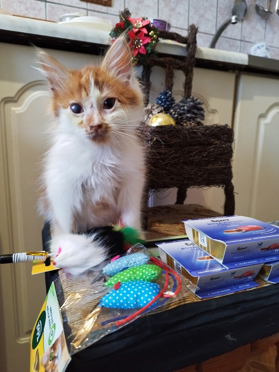 Димасик уже дома