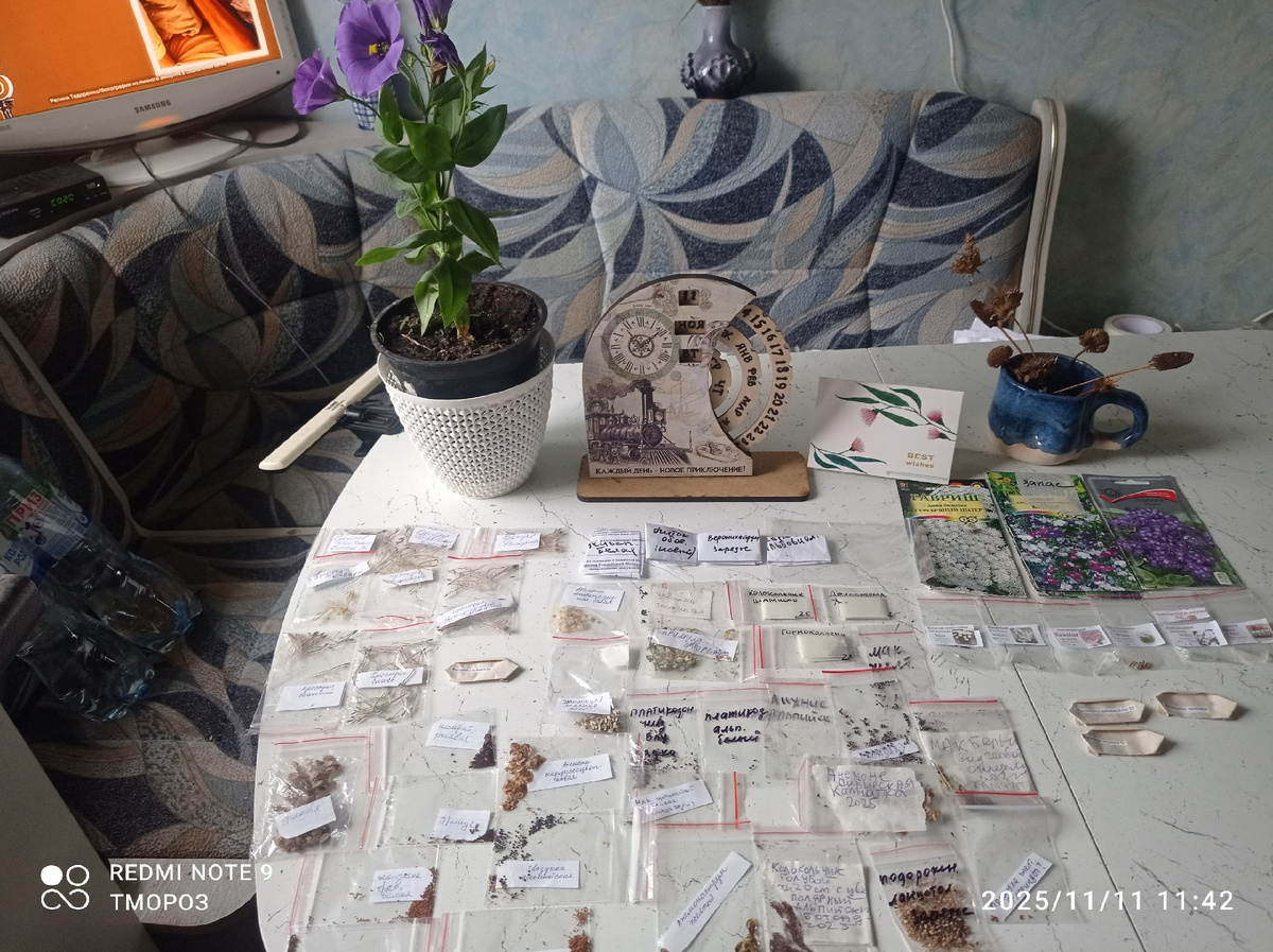 только часть посевных планов