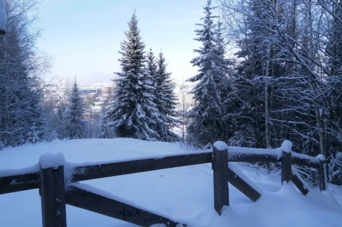    Природному парку «Самаровский чугас» исполнилось 25 лет