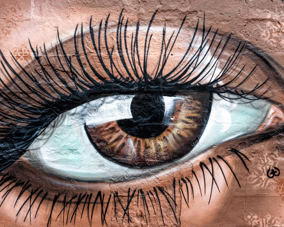 Глаза — окна, через которые мы видим мир