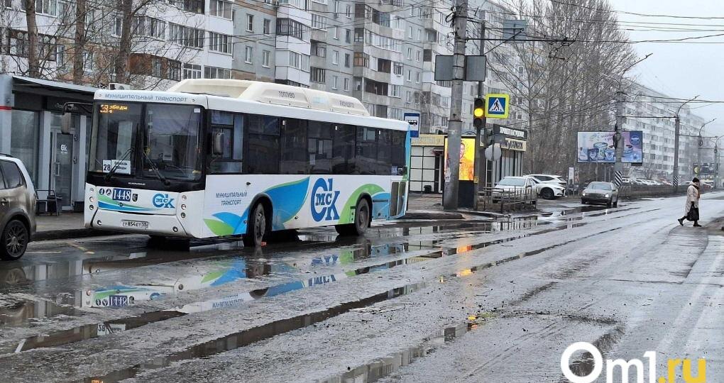 Омские автобусы хотят штрафовать за неправильный цвет