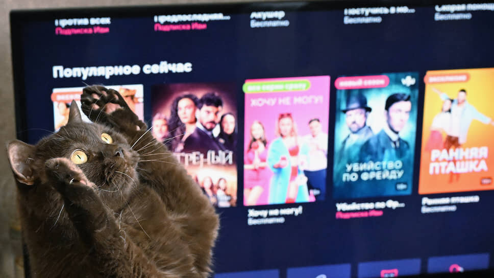 Фото: Анатолий Жданов / Коммерсантъ