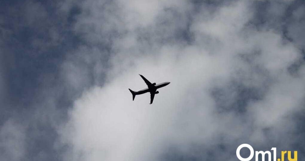 Омичи будут летать на расконсервированных самолётах из-за нехватки бортов