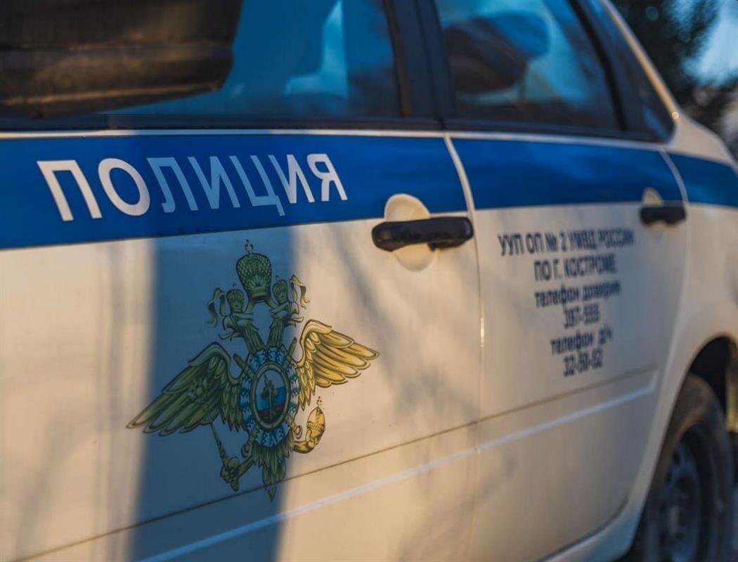 Фото УМВД России по Костромской области.
