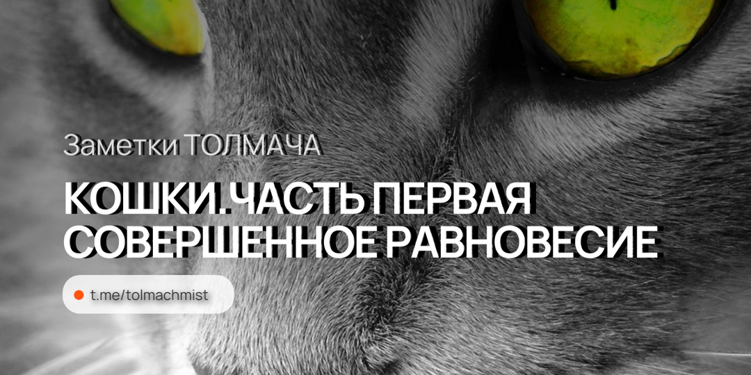 СОВЕРШЕННОЕ РАВНОВЕСИЕ