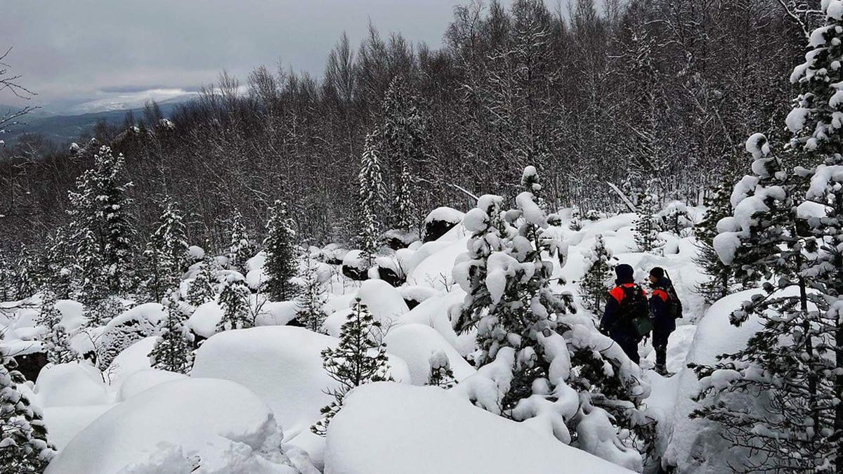 Фото: ДПСО «ЛизаАлерт» Красноярского края