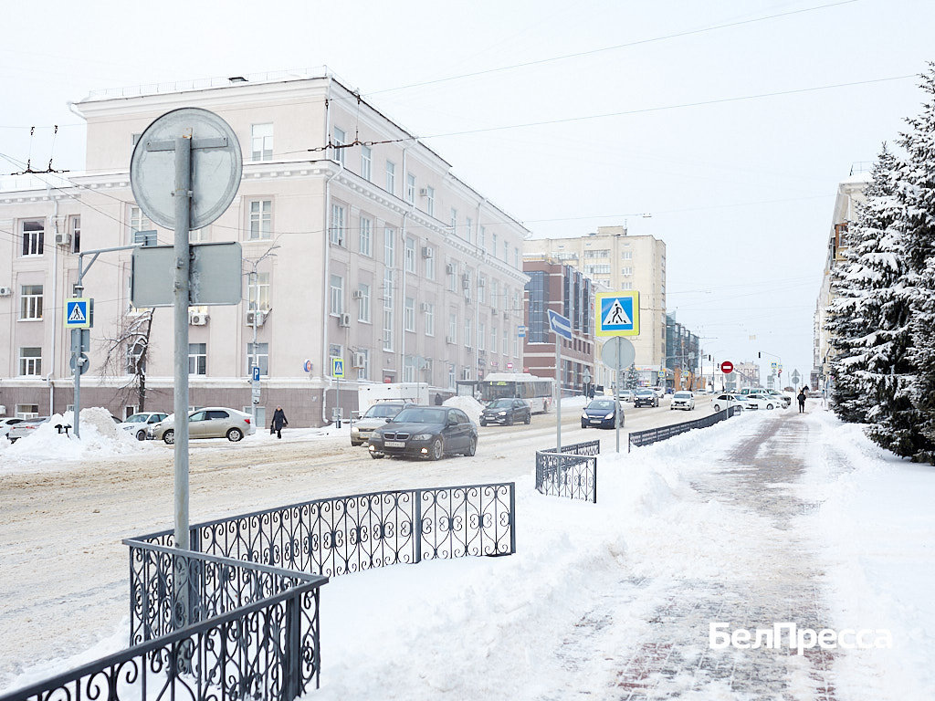     Фото: Елена Журавлёва