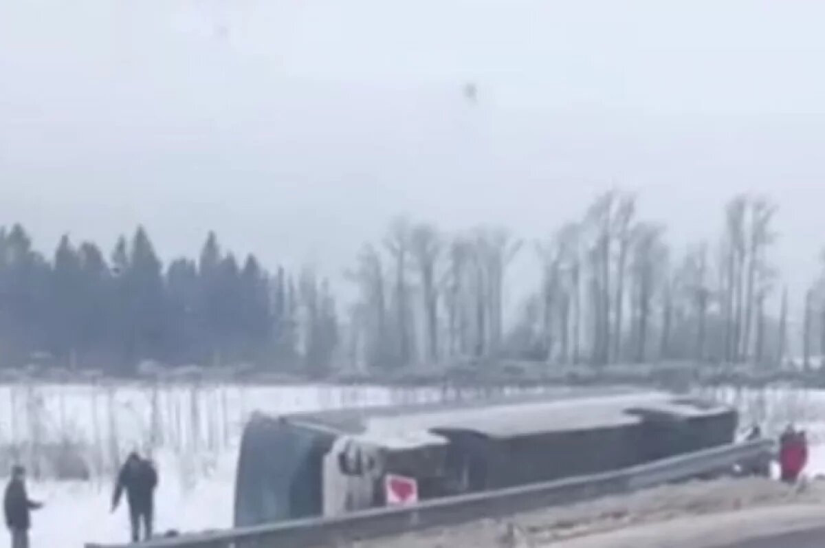    Автобус опрокинулся в Ленобласти, пострадали пять человек