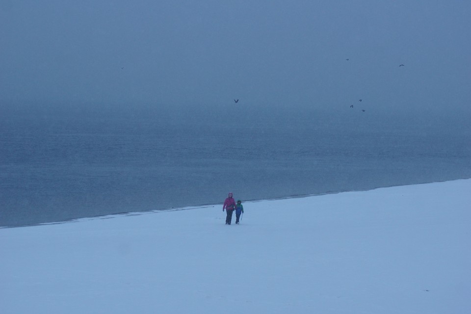    Декабрь 2025 года стал самым серым месяцем Светлана МАКОВЕЕВА