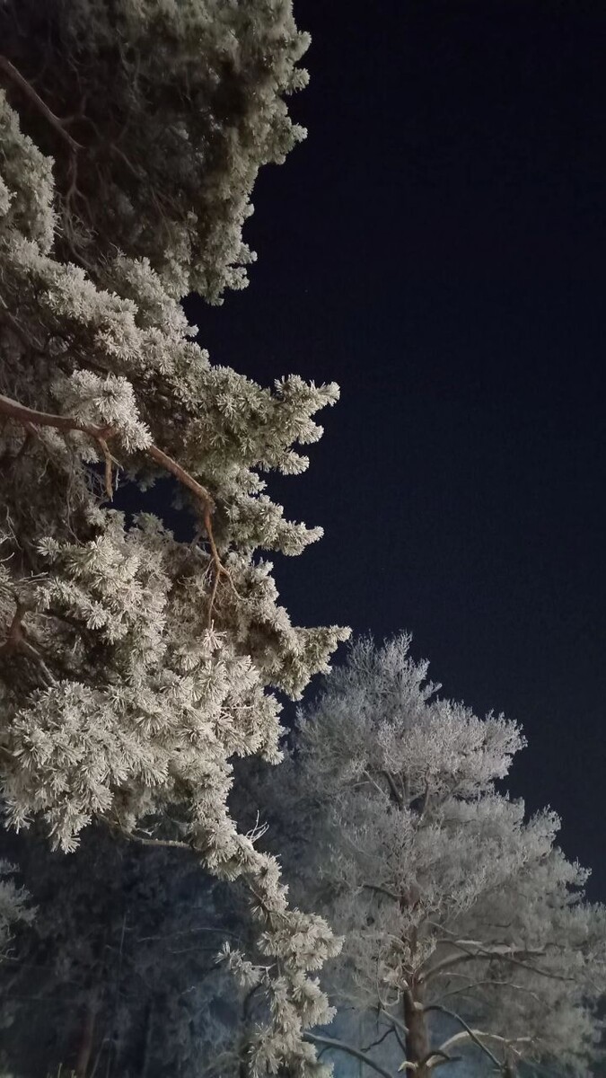С Крещением Господним! Фотографировала вчера 