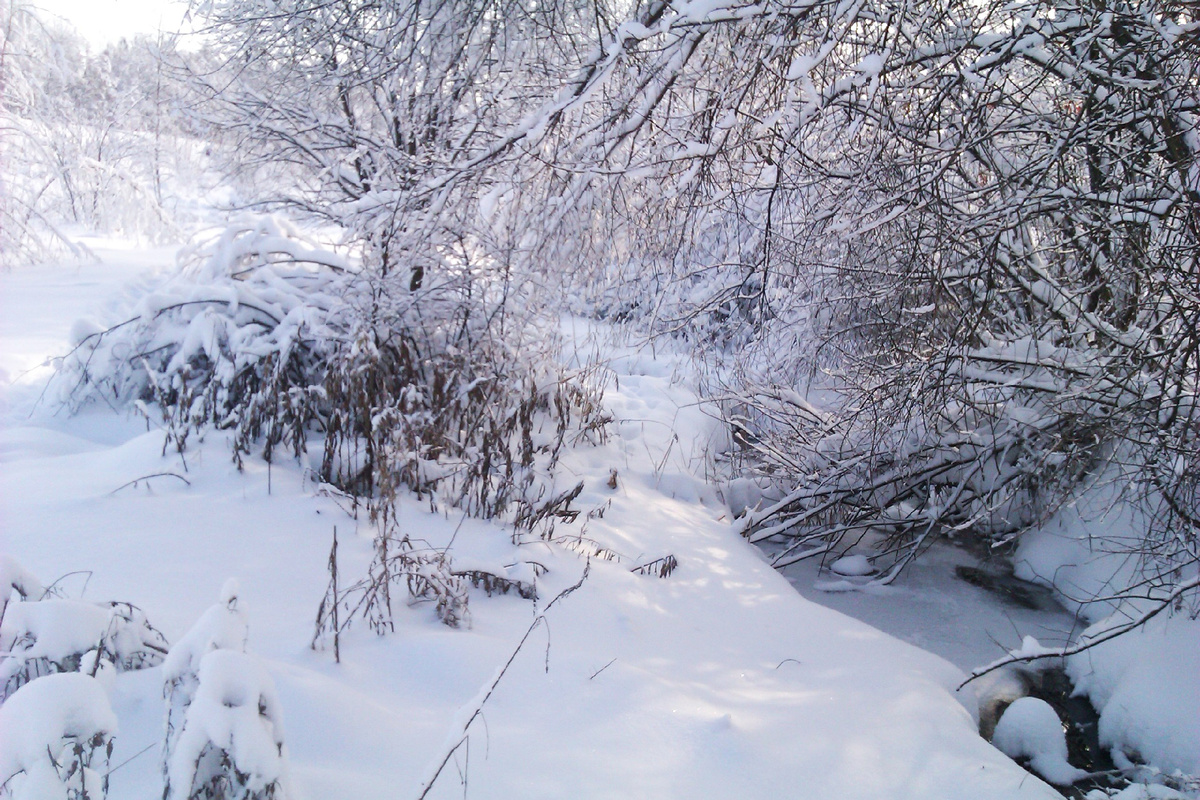 Там,где прожил столько лет 
