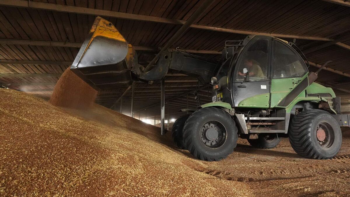 Фото: ИЗВЕСТИЯ/Эдуард Корниенко